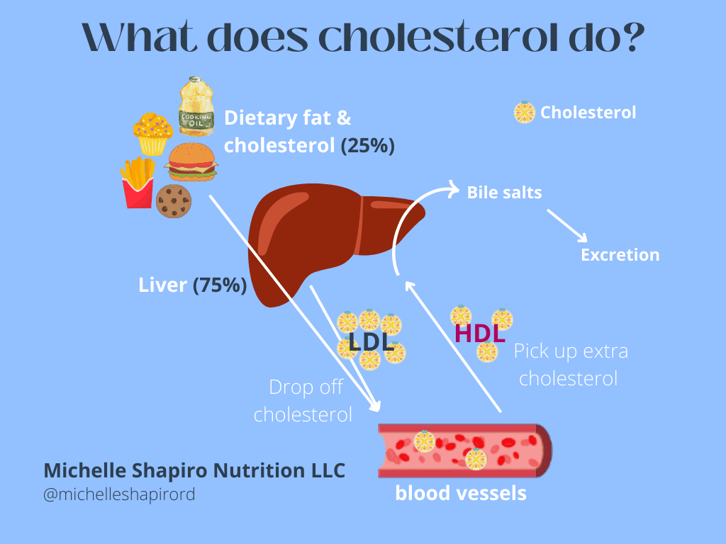 What does cholesterol do? Functional nutritionist Michelle Shapiro explains how cholesterol works in the body.